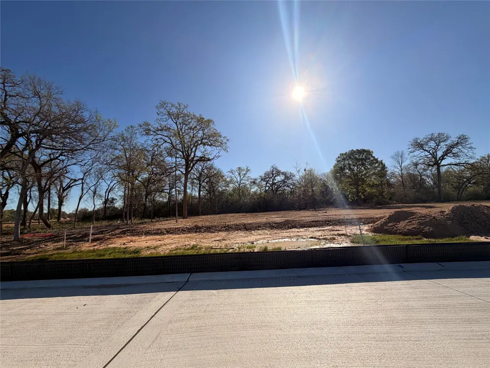 8519 Light Rail Drive Fulshear, TX 77441