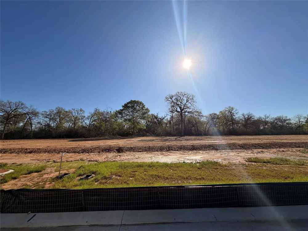 8531 Light Rail Drive Fulshear, TX 77441