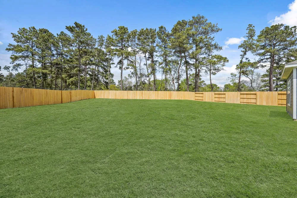 217 Elm Spring Drive Hockley, TX 77447