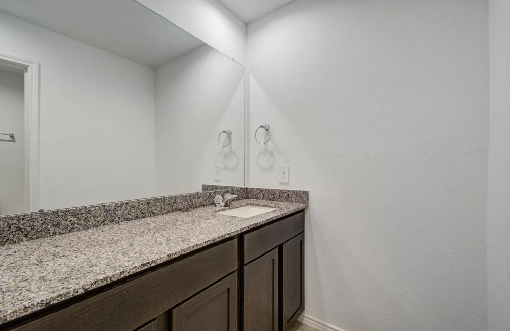 1206 Cattle Chute Court Rosharon, TX 77583