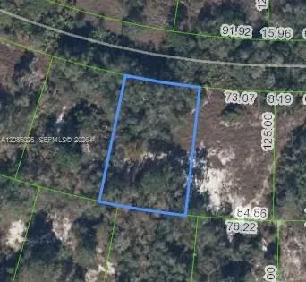 783 Clair De Lune DR Lake Placid, FL 33852