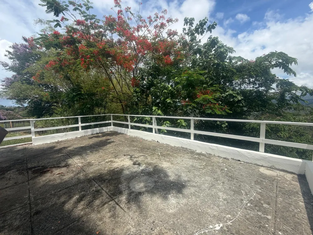 853 k.m. BARRAZAS Carolina, PR 00979