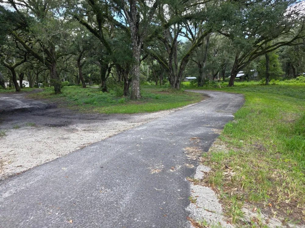 10576 S US HIGHWAY 301 Webster, FL 33597