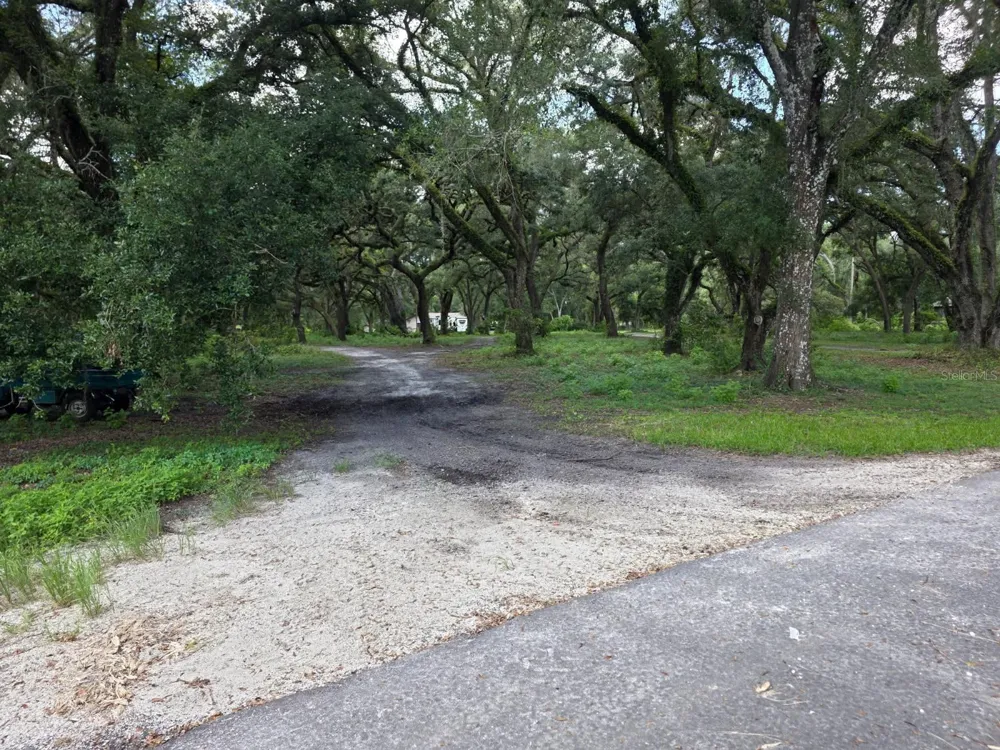 10576 S US HIGHWAY 301 Webster, FL 33597