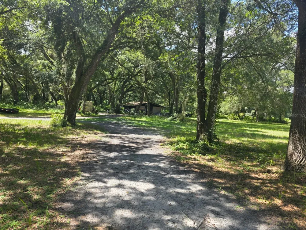 10576 S US HIGHWAY 301 Webster, FL 33597