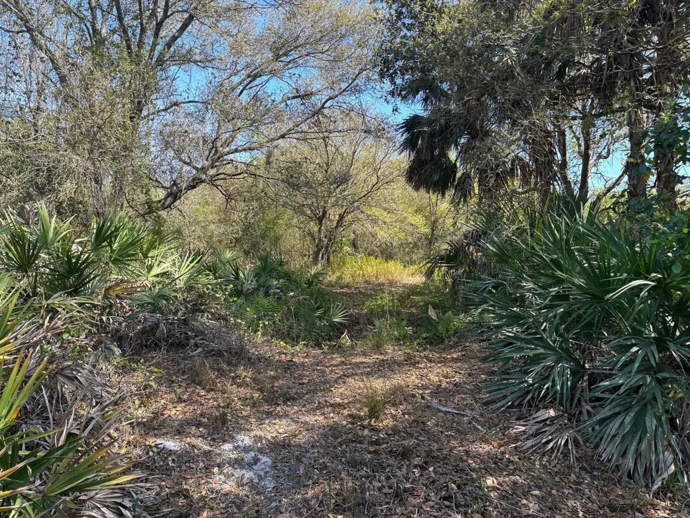 NW 296th Street Okeechobee, FL 34972
