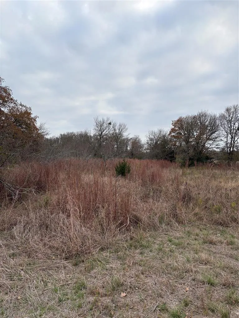 James Craft Road Somerville, TX 77879