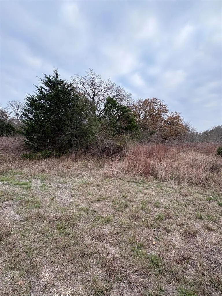 James Craft Road Somerville, TX 77879
