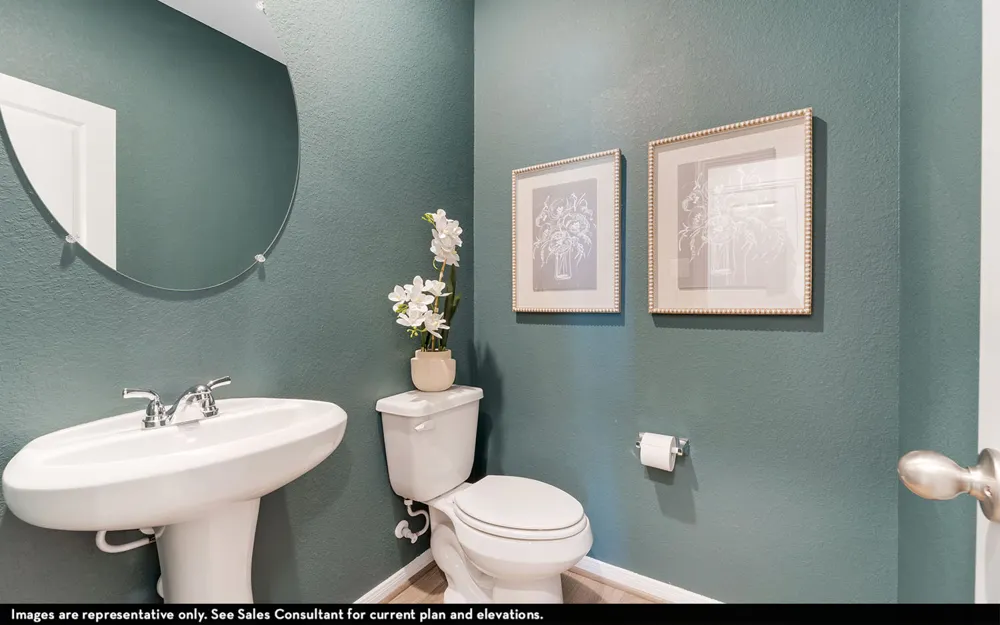 314 Timber Brook Drive Hutto, TX 78634