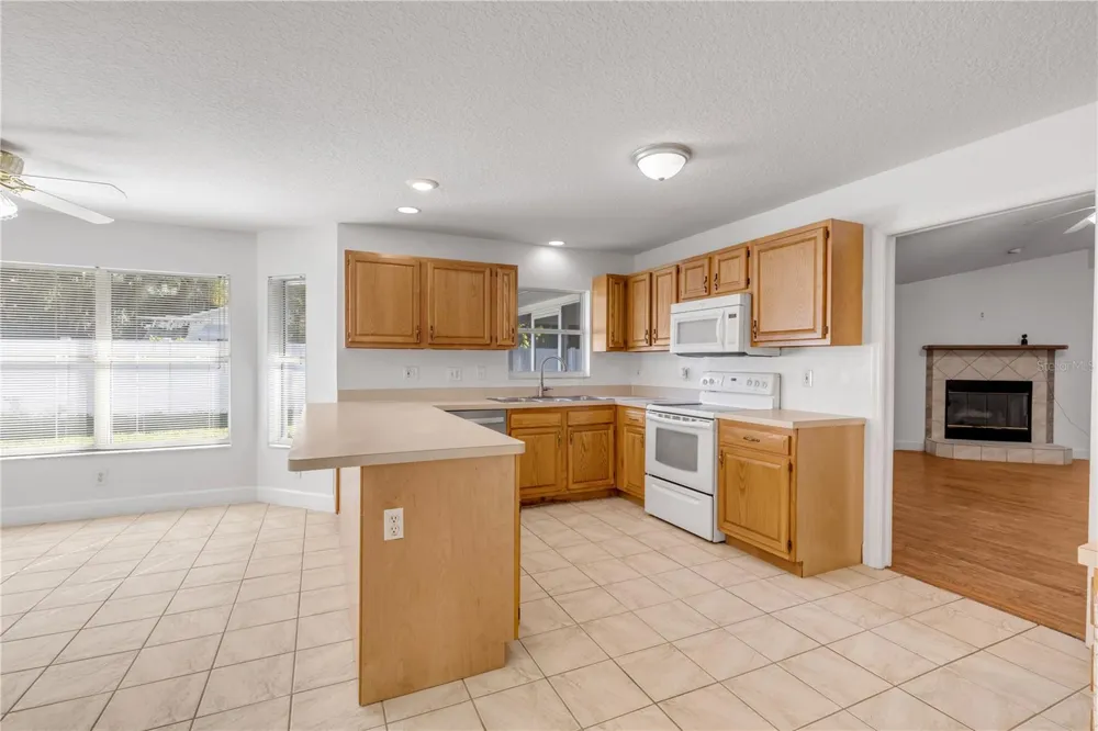 3205 MANGO TREE DRIVE Edgewater, FL 32141