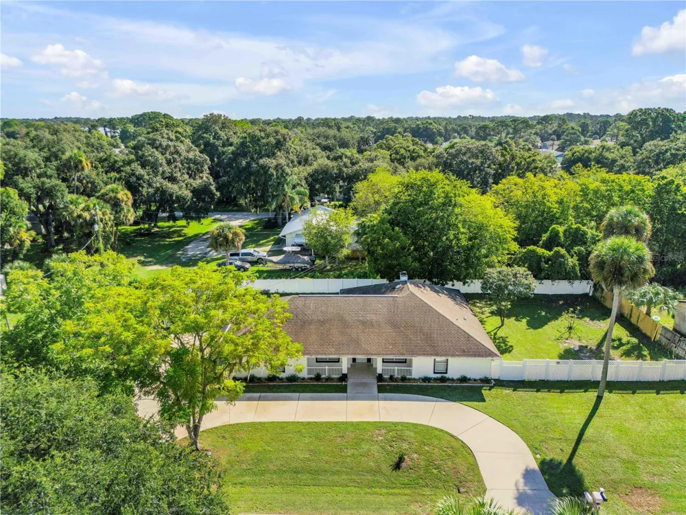 3205 MANGO TREE DRIVE Edgewater, FL 32141