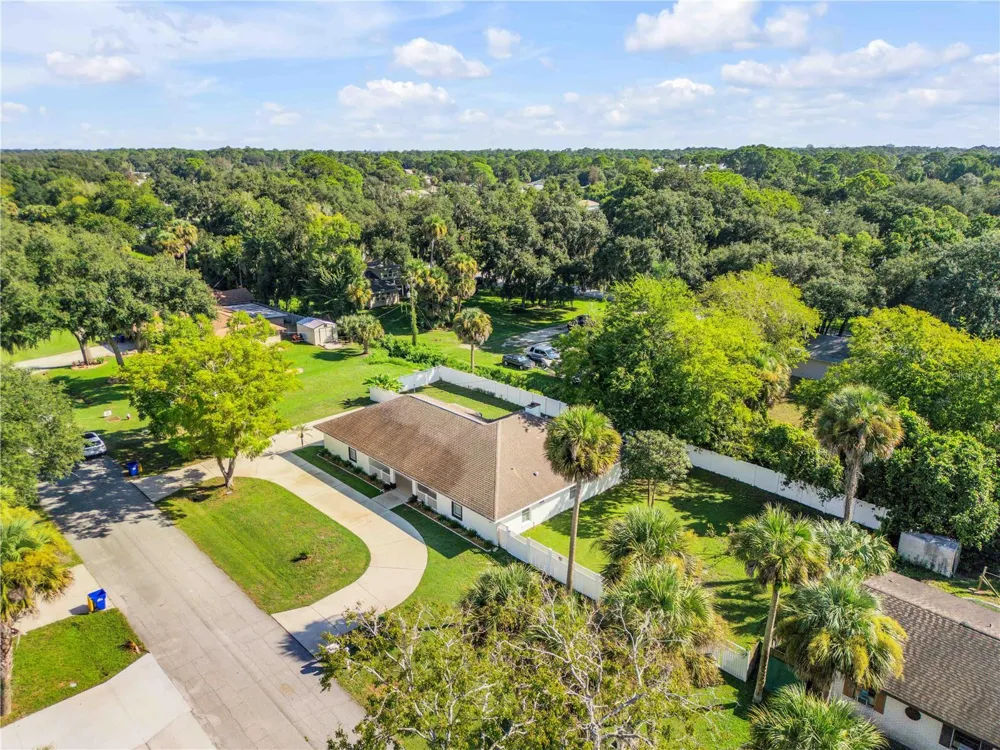 3205 MANGO TREE DRIVE Edgewater, FL 32141