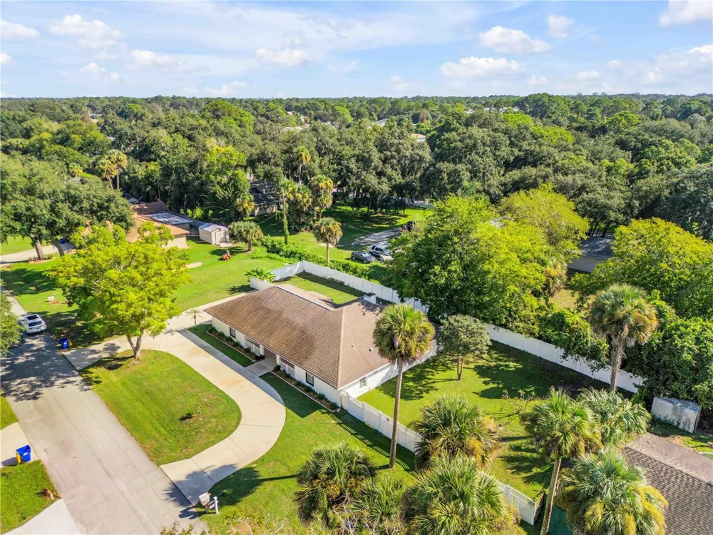 3205 MANGO TREE DRIVE Edgewater, FL 32141