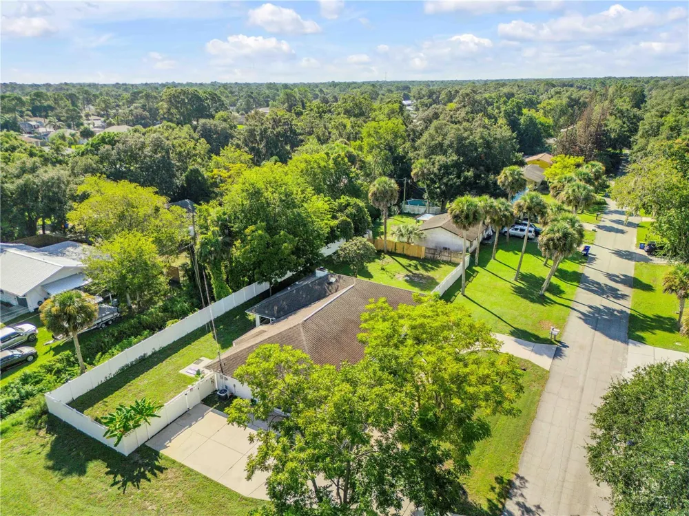 3205 MANGO TREE DRIVE Edgewater, FL 32141