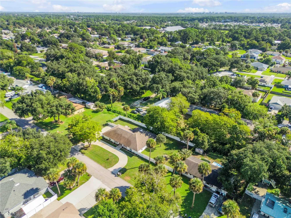 3205 MANGO TREE DRIVE Edgewater, FL 32141