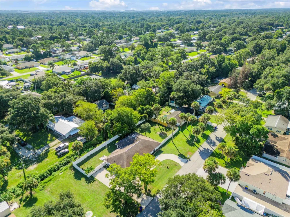 3205 MANGO TREE DRIVE Edgewater, FL 32141