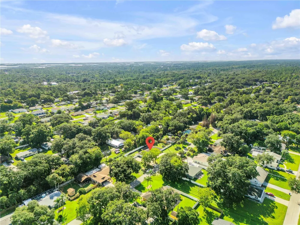 3205 MANGO TREE DRIVE Edgewater, FL 32141