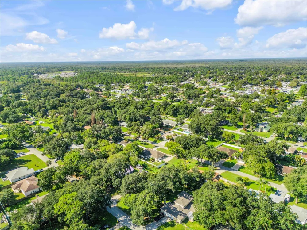 3205 MANGO TREE DRIVE Edgewater, FL 32141