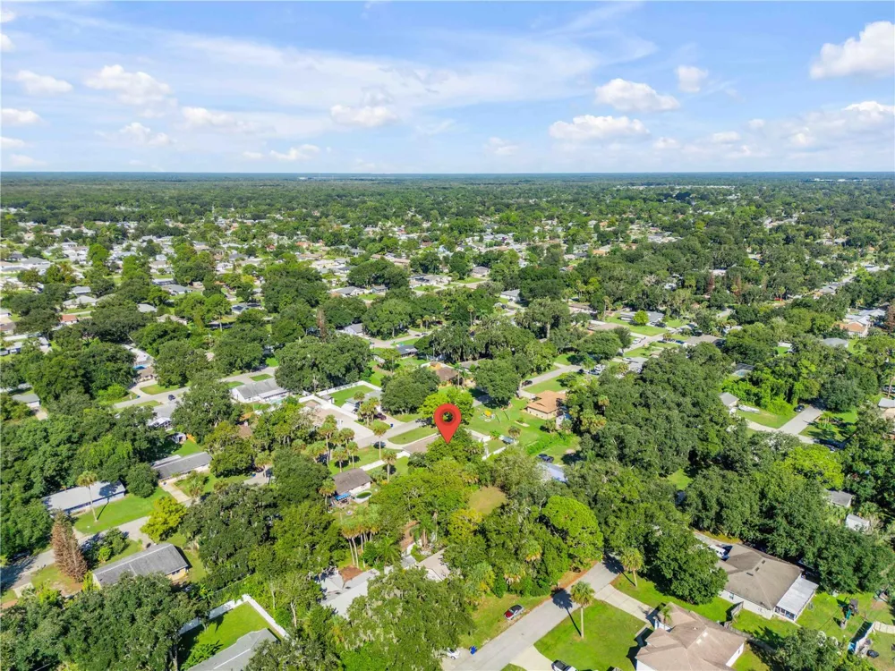 3205 MANGO TREE DRIVE Edgewater, FL 32141