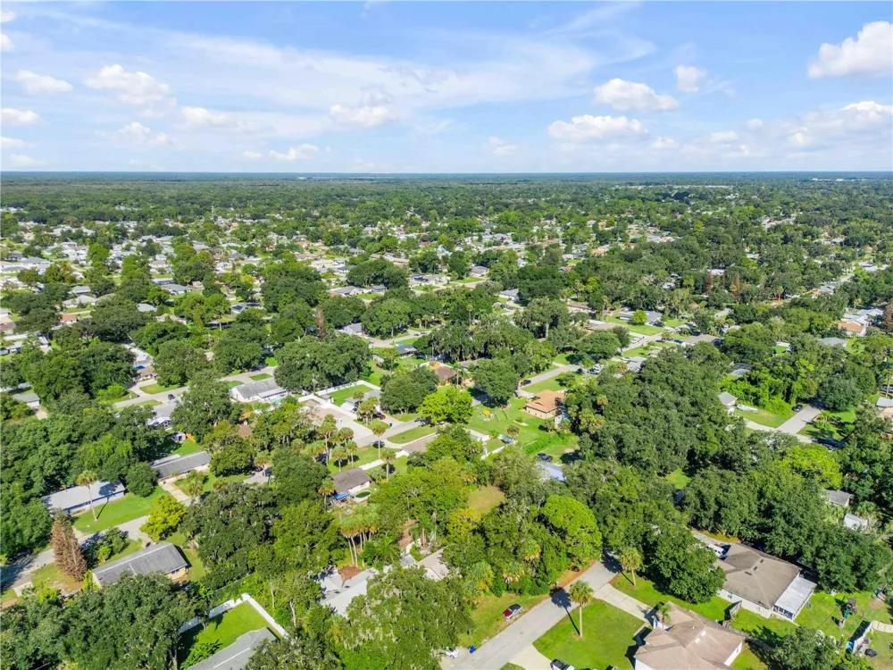 3205 MANGO TREE DRIVE Edgewater, FL 32141