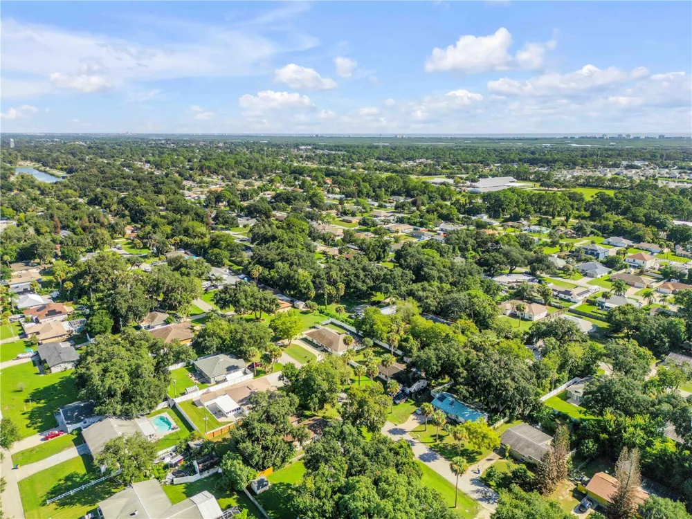 3205 MANGO TREE DRIVE Edgewater, FL 32141