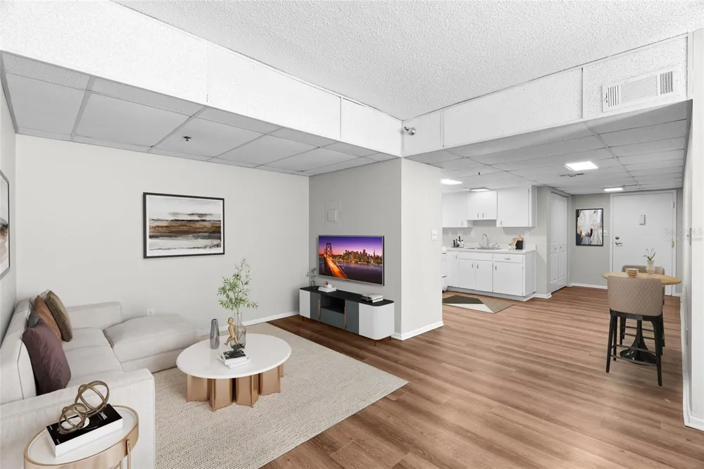 411 1ST AVENUE #308 St Petersburg, FL 33701