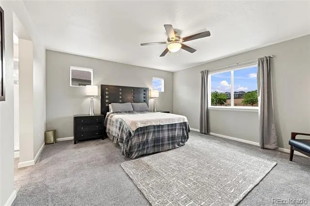 1220 Mcmurdo Circle Castle Rock, CO 80108