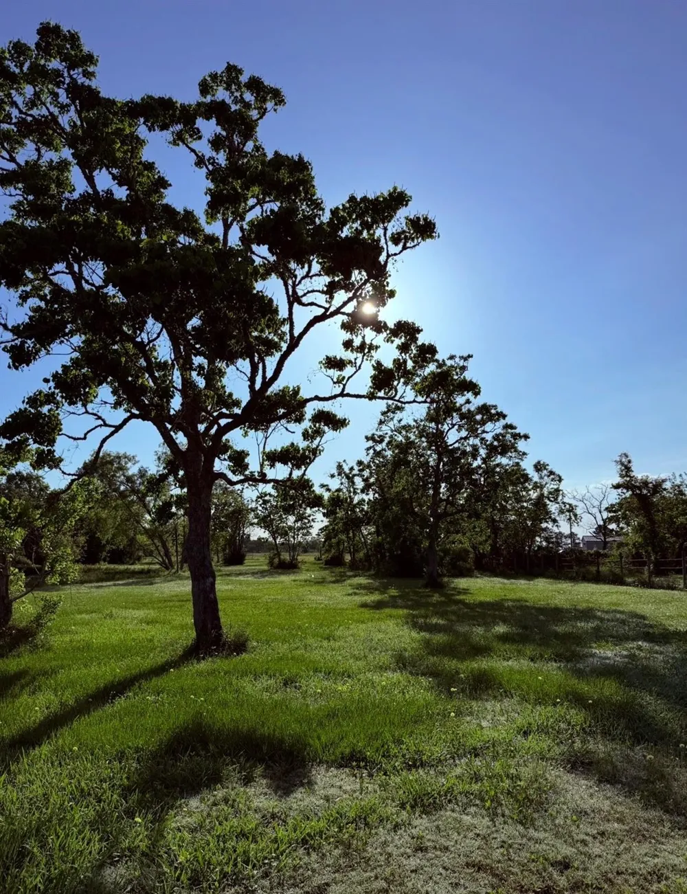 8686 Fm-2004 Santa Fe, TX 77510