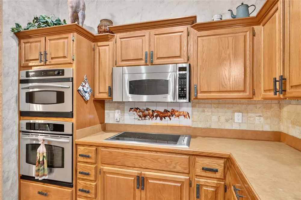8699 SE 12TH COURT ocala, FL 34480