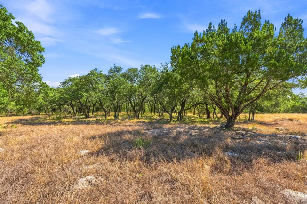 250 Gant Road Dripping Springs, TX 78620