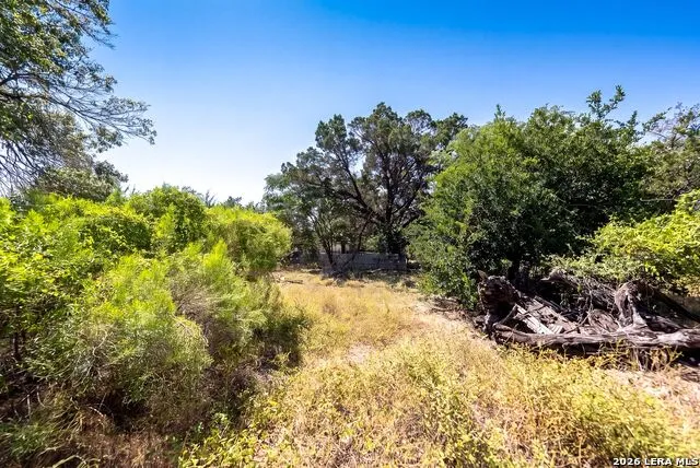 990 Hillcrest Trl Spring Branch, TX 78070