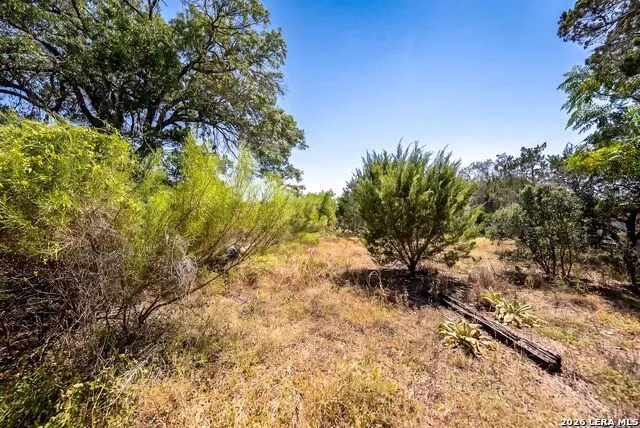 990 Hillcrest Trl Spring Branch, TX 78070