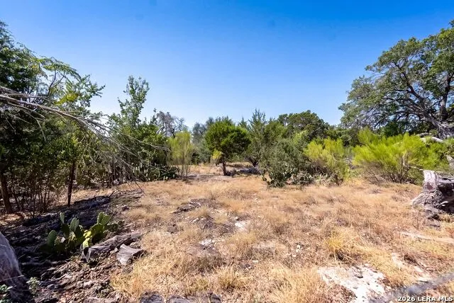 990 Hillcrest Trl Spring Branch, TX 78070
