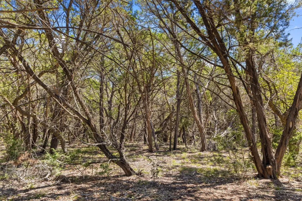14511 FM 32 Blanco, TX 78606