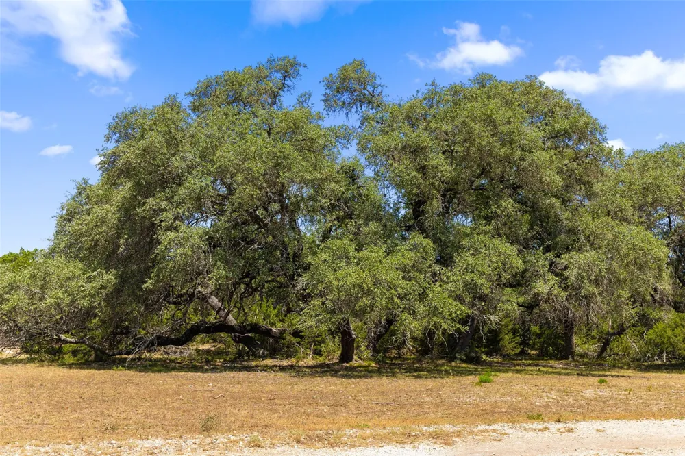 14511 FM 32 Blanco, TX 78606