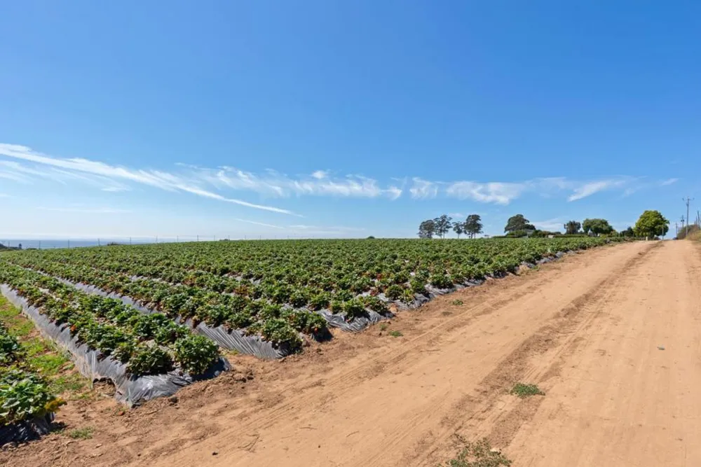 145 Coy Drive Watsonville, CA 95076
