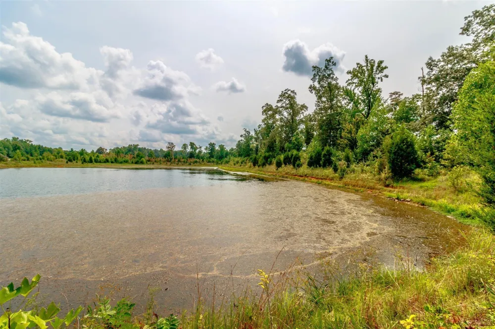 314 Tisha Ct Clarksville, TN 37042