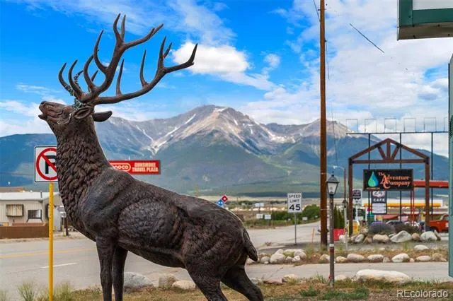 12845 US Highway 24/285 Buena Vista, CO 81211