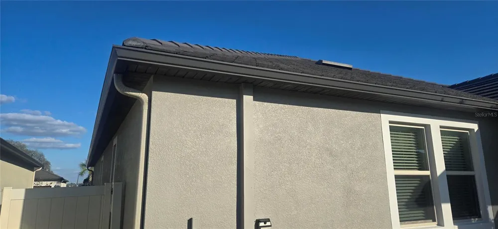 31826 CABANA RYE AVENUE San Antonio, FL 33576