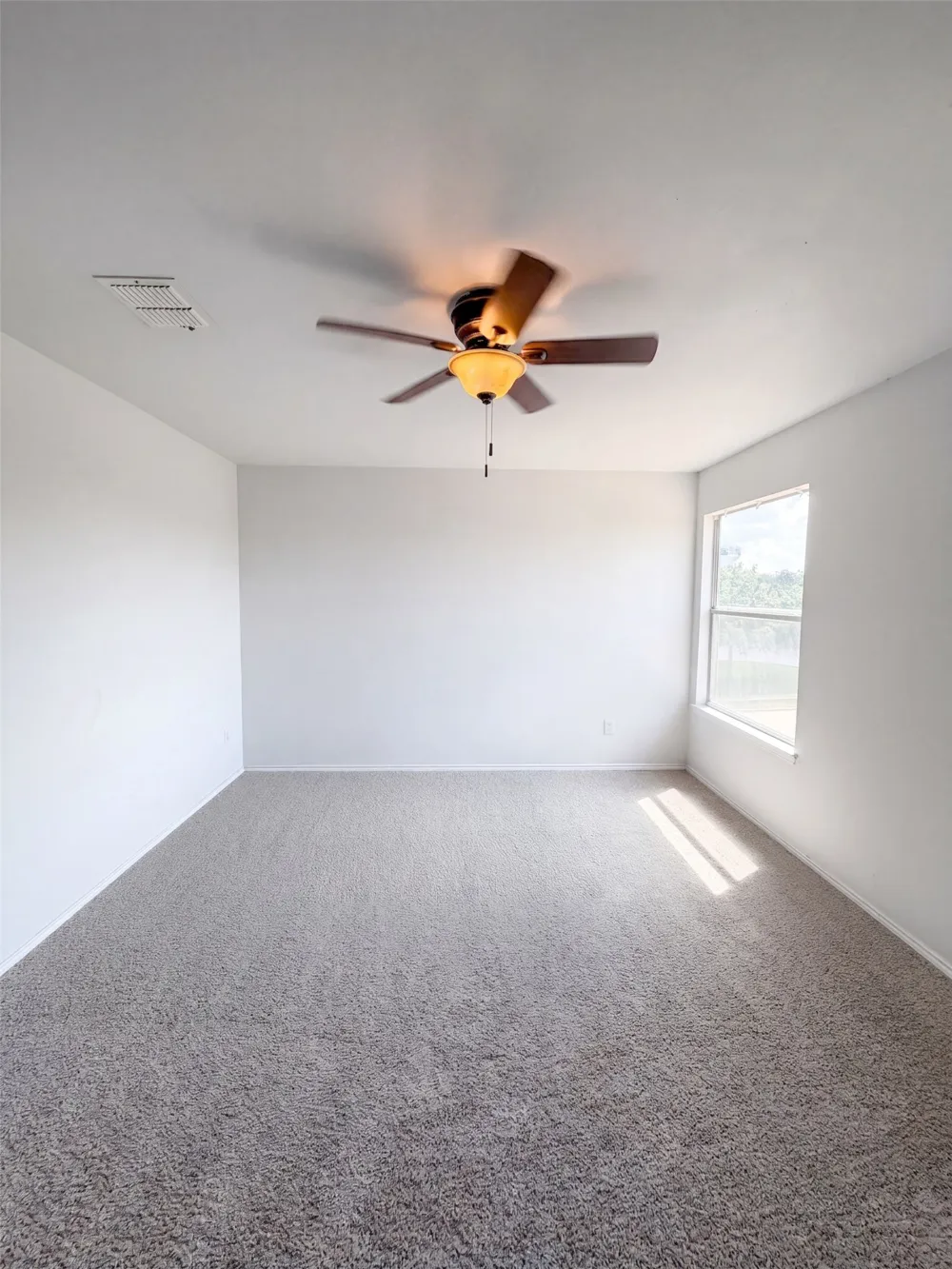 2220 Sumac Drive Little Elm, TX 75068