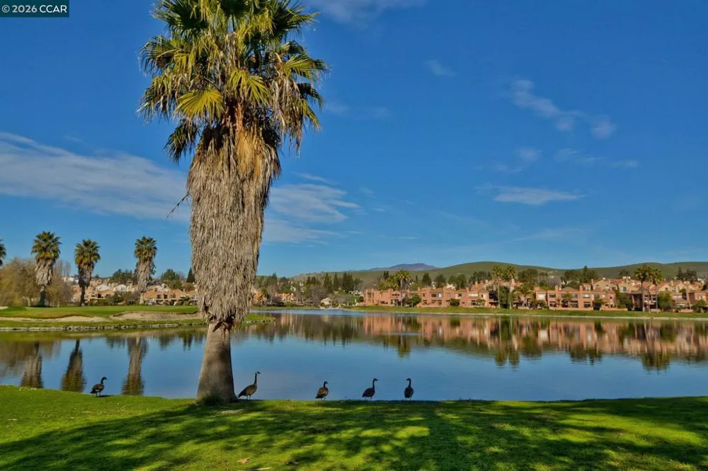 5012 Lakeview Dr #201 San Ramon, CA 94582
