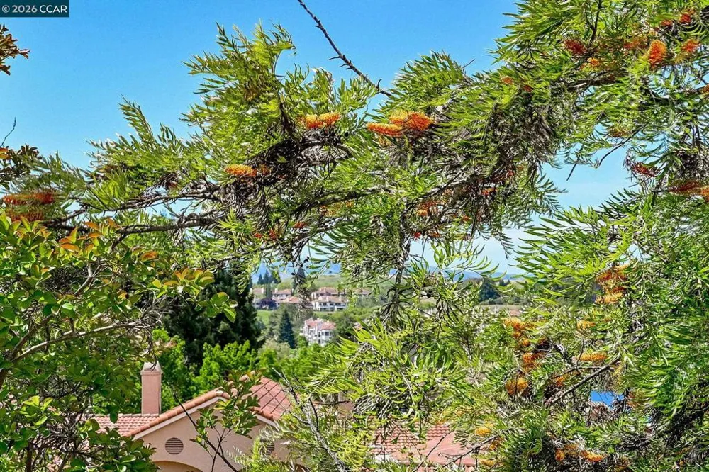 5012 Lakeview Dr #201 San Ramon, CA 94582