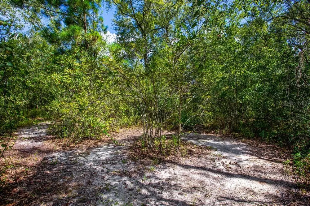 4671 SW 80TH WAY Lake Butler, FL 32054