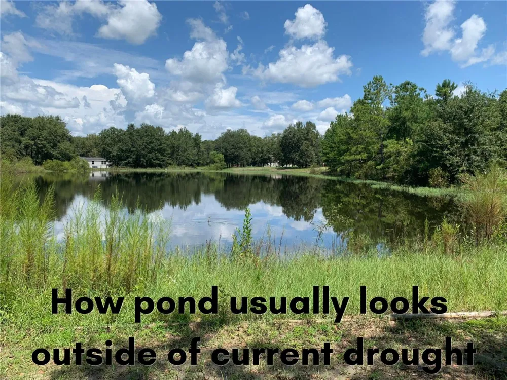 4671 SW 80TH WAY Lake Butler, FL 32054