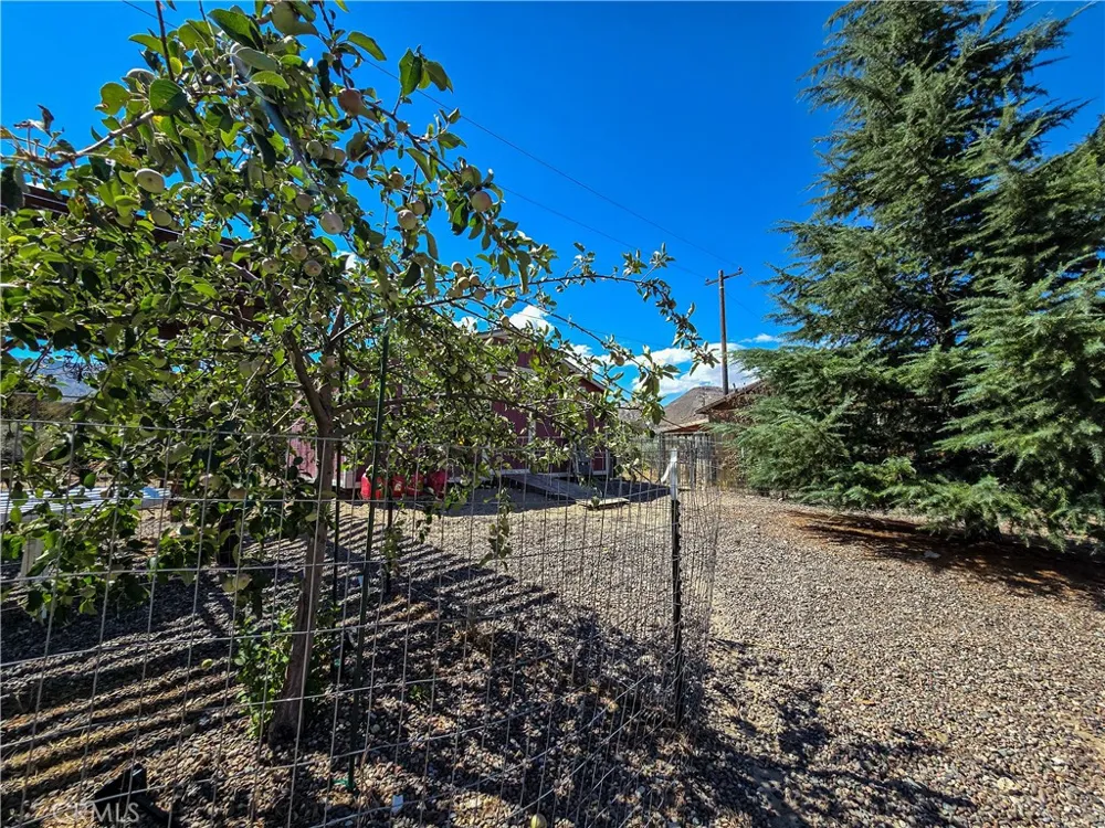 5363 Hess Road Phelan, CA 92371