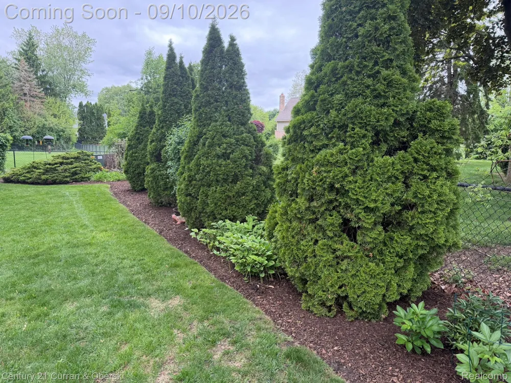 3875 Elizabeth Drive Troy City, MI 48084