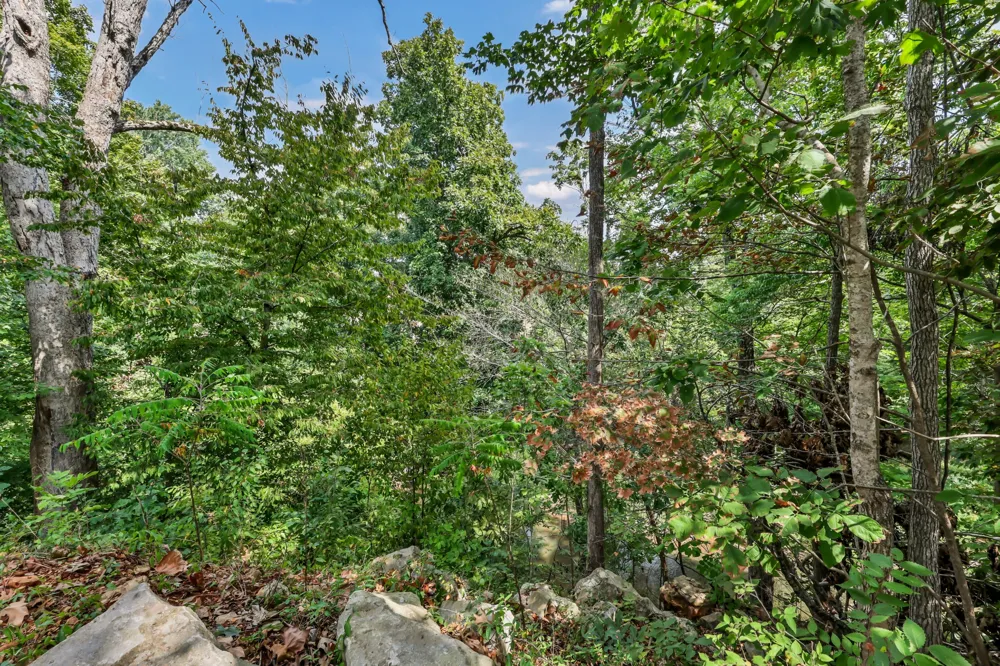 105 Ridgepoint Ct Clarksville, TN 37040