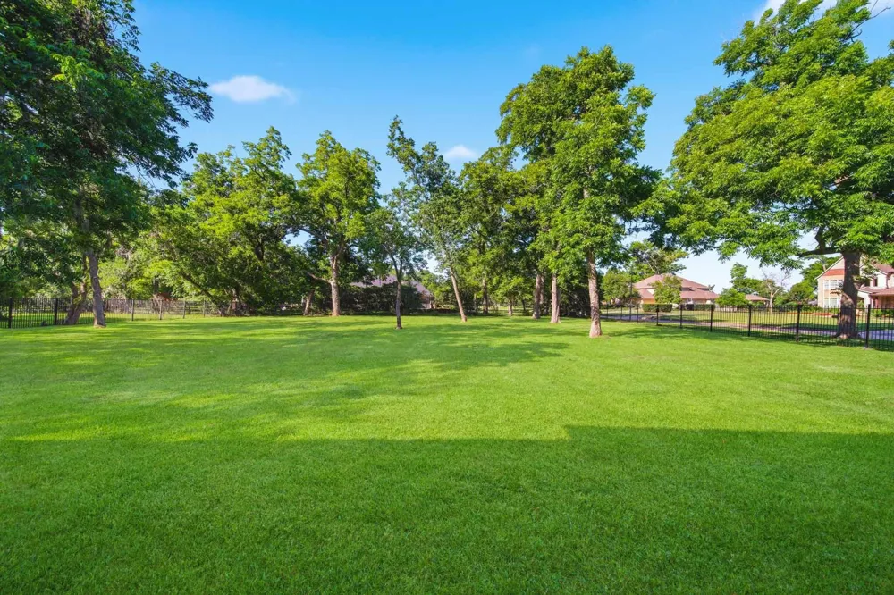 15 Bees Creek Court Missouri City, TX 77459