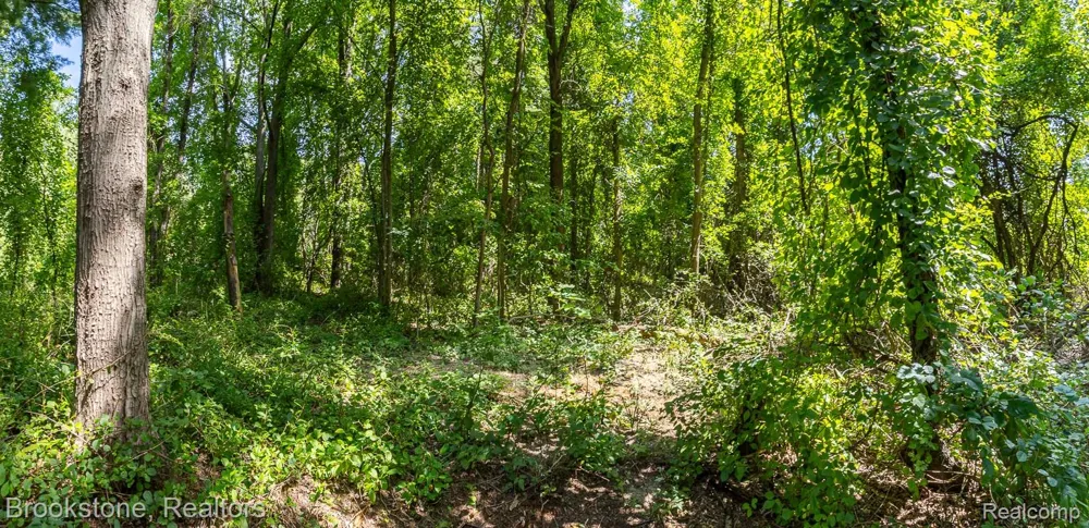 Allen Road Independence Charter Township, MI 48348