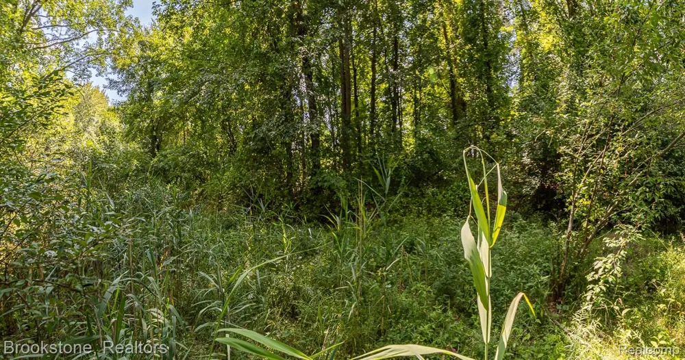 Allen Road Independence Charter Township, MI 48348